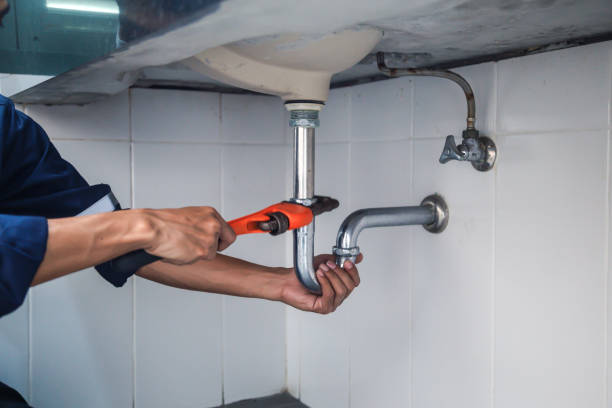 Best Affordable Plumbing Services  in Astatula, FL